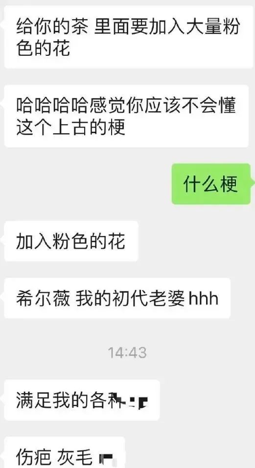 Word文档图片
