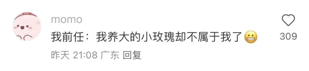 Word文档图片