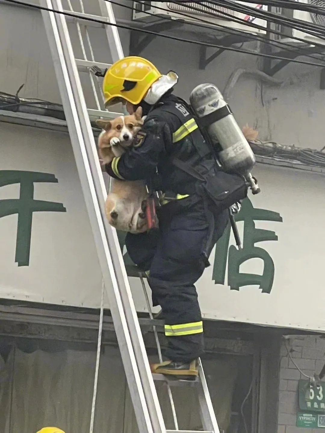 Word文档图片