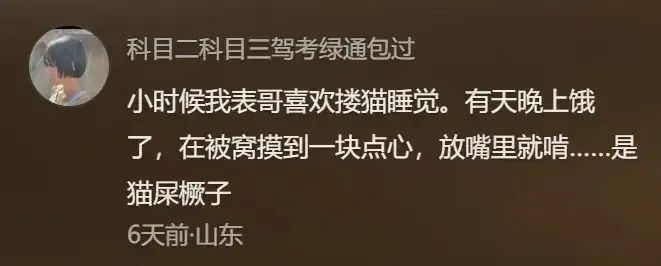 Word文档图片