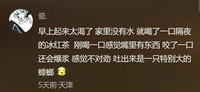 Word文档图片