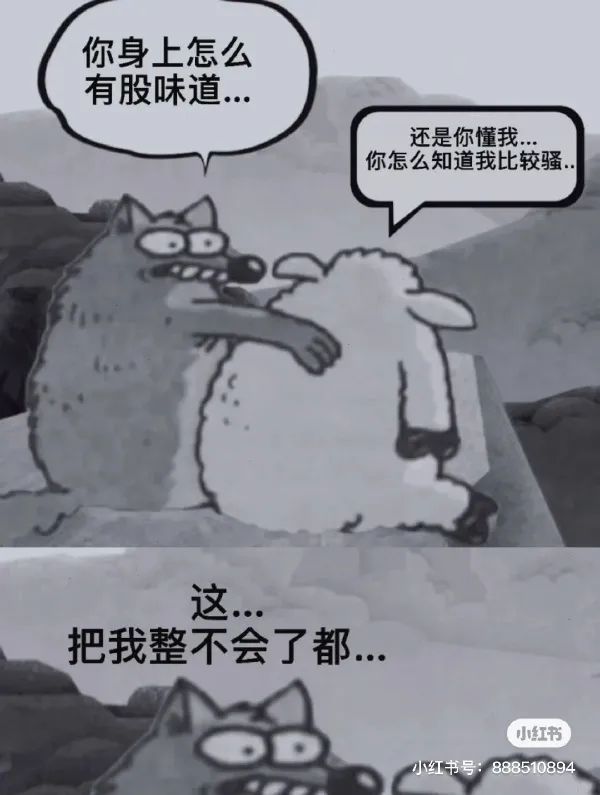 Word文档图片