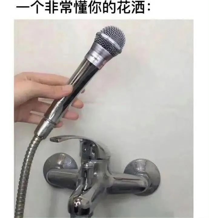 Word文档图片