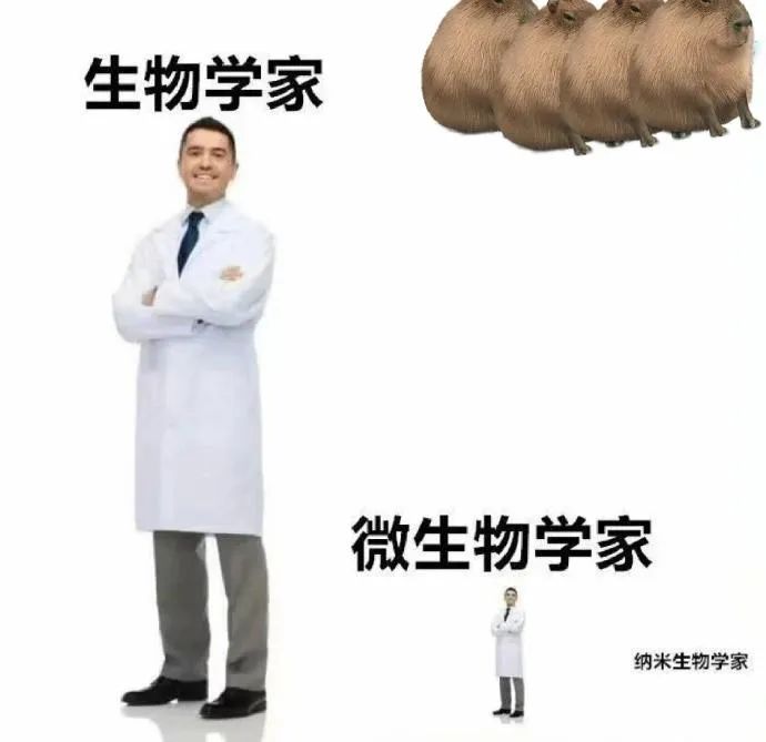 Word文档图片
