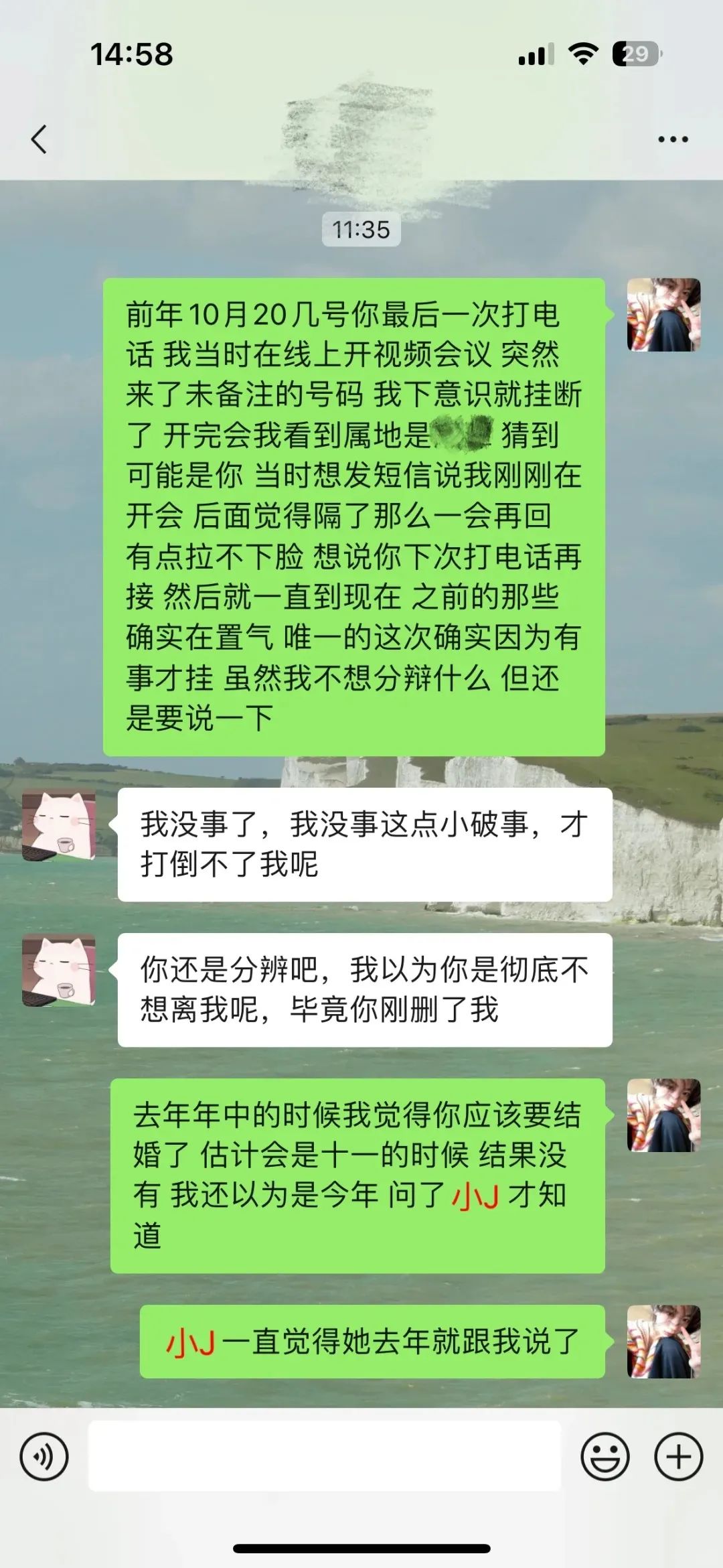 Word文档图片