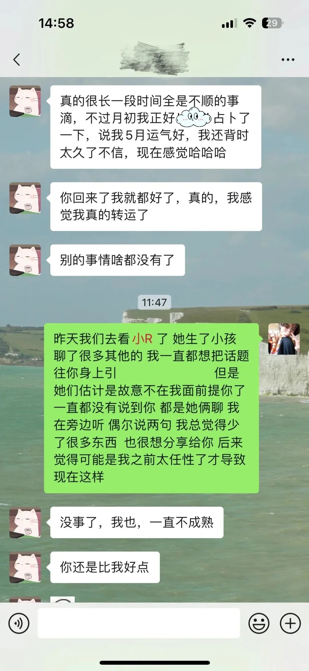 Word文档图片