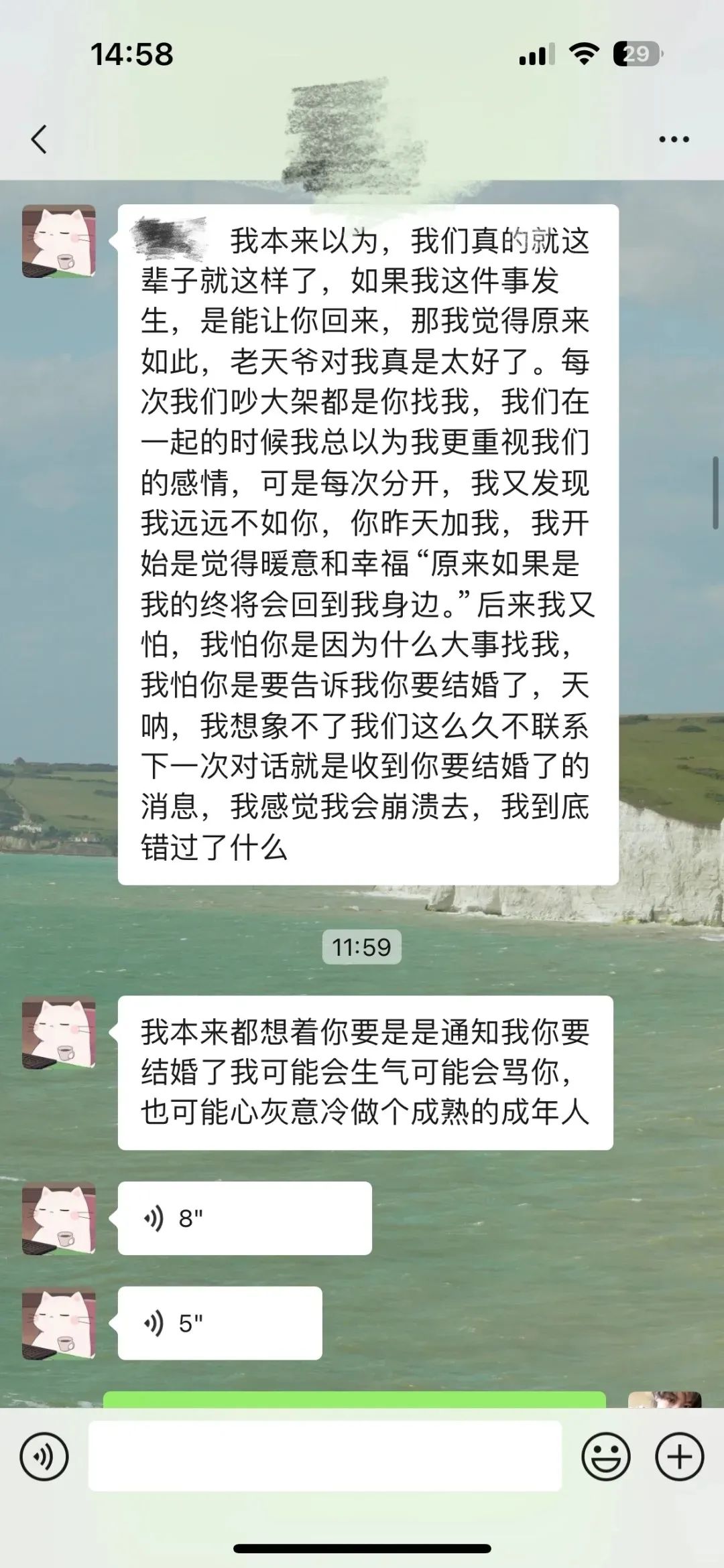 Word文档图片