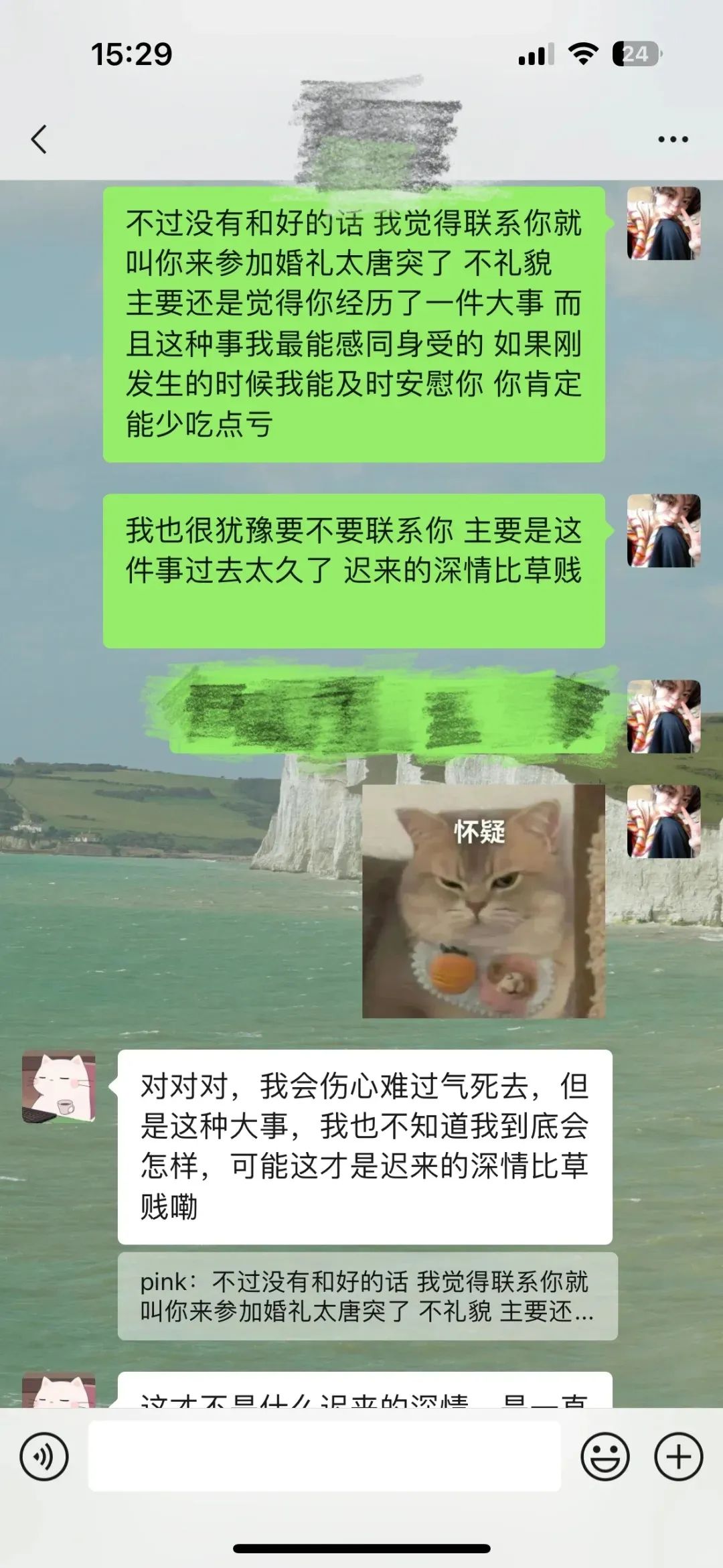 Word文档图片