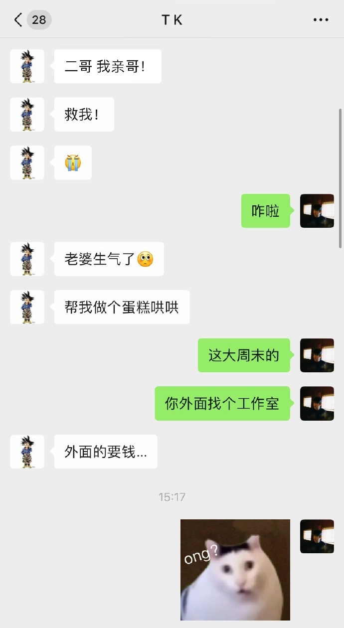Word文档图片
