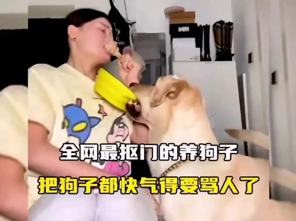 Word文档图片