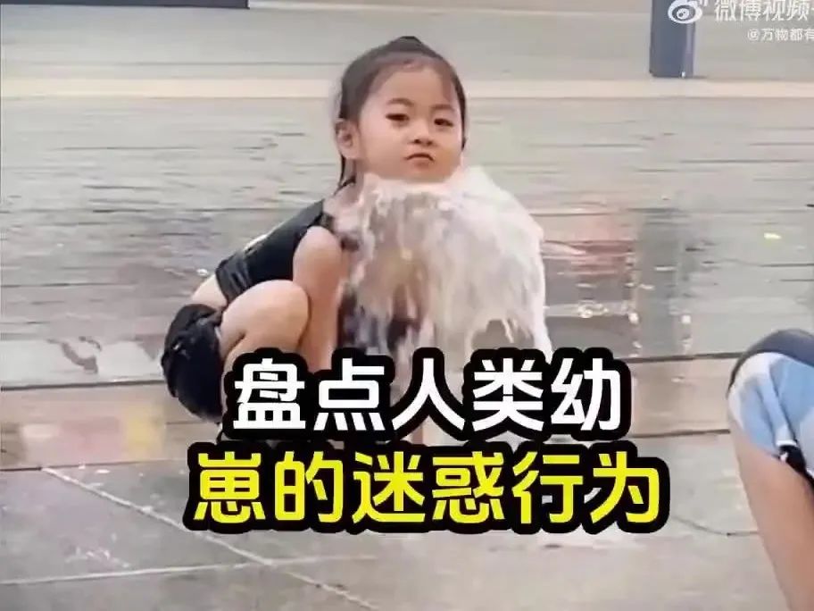 Word文档图片