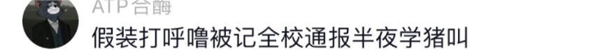 Word文档图片