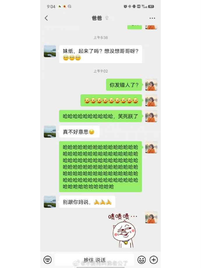 Word文档图片